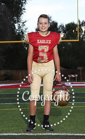 brodyBarbich1